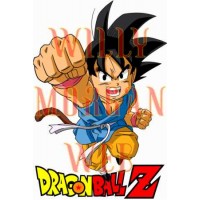 Dragon Ball Z 16